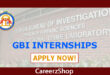 GBI Internship